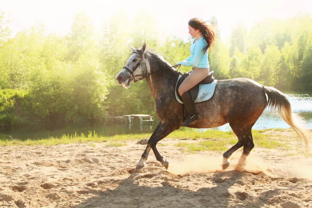 10 Tips to steer a horse