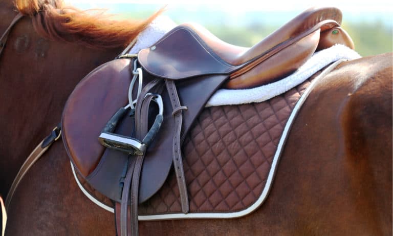 6 Easy Steps to Saddle a Horse