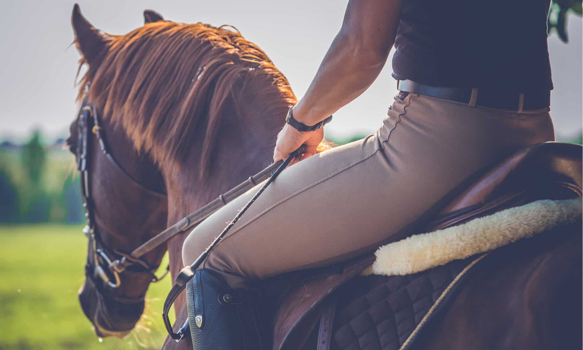 6 Easy Steps to Post On A Horse