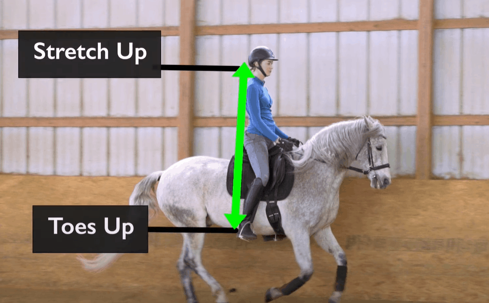 Get Into a Cantering Position