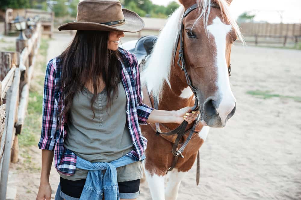 How to Become a Horse Whisperer