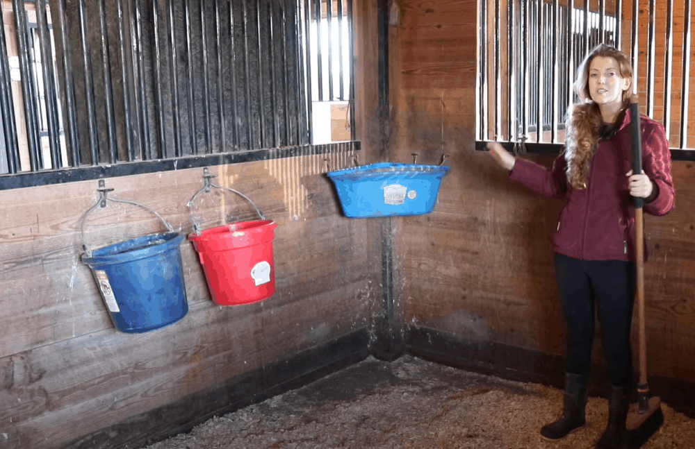 Replace feed and water buckets and toys