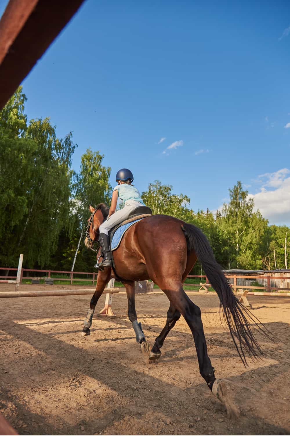 What is Cantering in Horse Riding