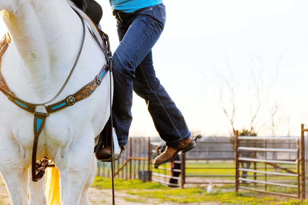 Why You Should Learn to Get On a Horse From Both Sides