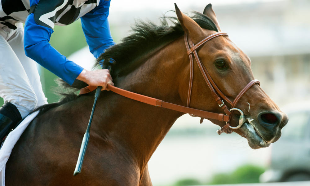 17 Best Race Horses of All Time