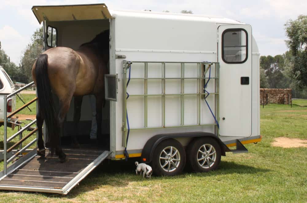 Types Of Horse Trailers