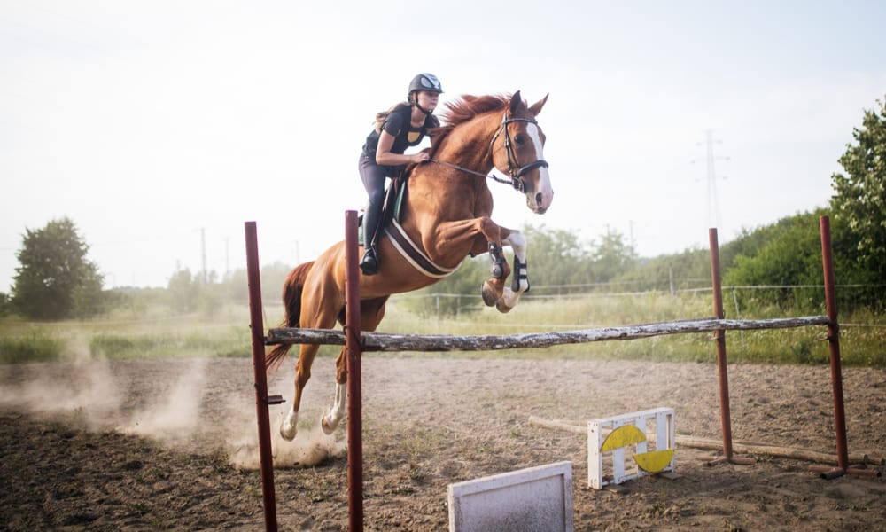 How High Can Horses Jump (Affecting Factors & Records)