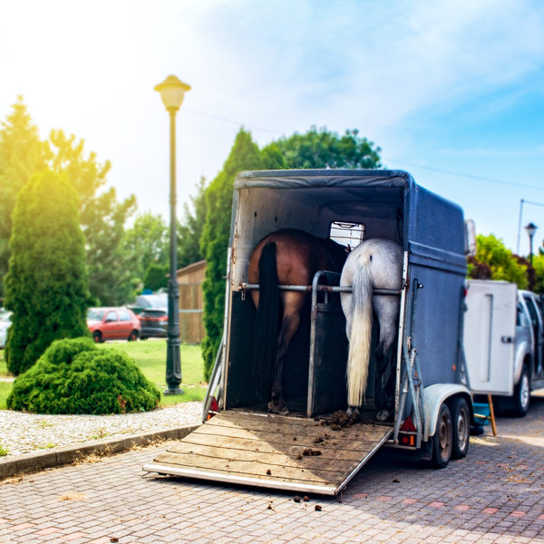 15 Top Tips for Renting a Horse Trailer