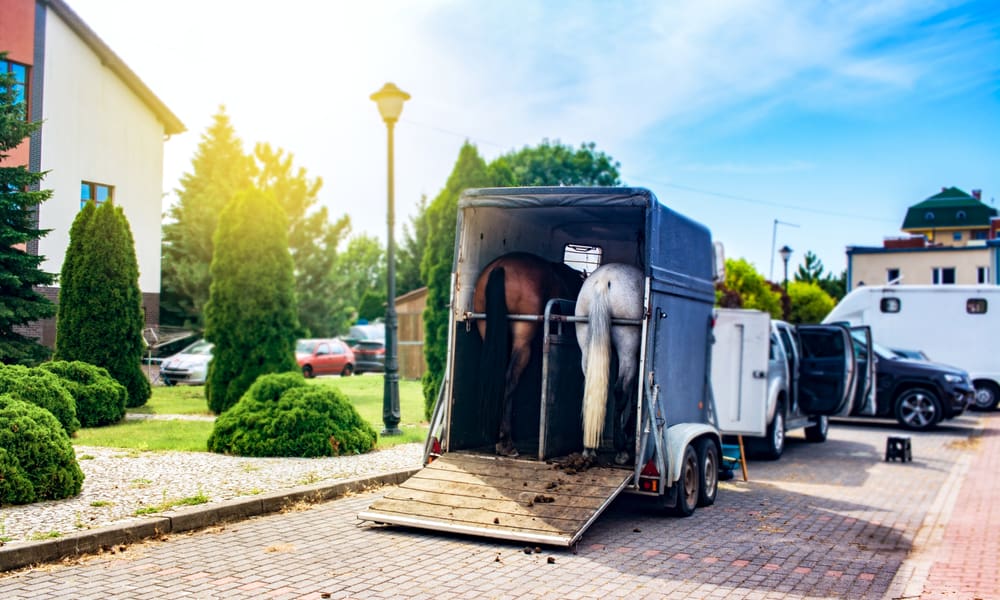 15 Top Tips for Renting a Horse Trailer